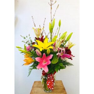 Colorful Lilies