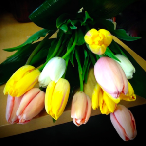 tulip bouquet