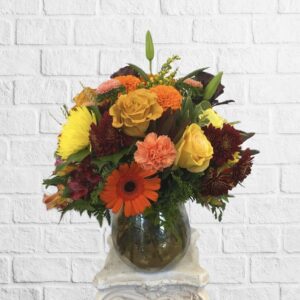 Seasonal Shades
